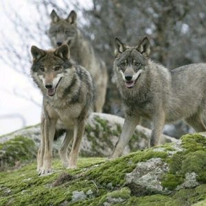 Meet your Posher, Meghan